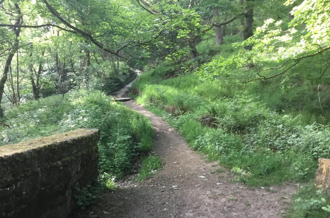 Tyas Cottage Slaithwaite Екстериор снимка